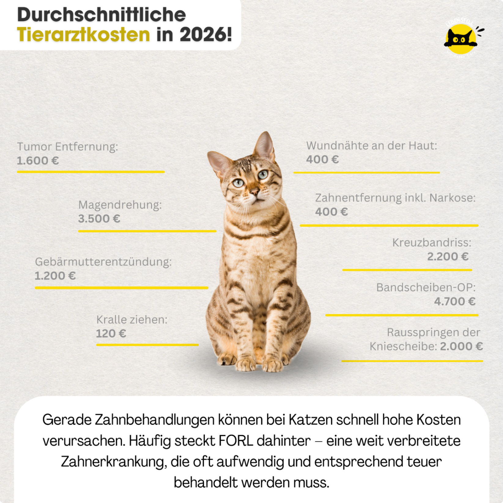 Grafik zu durchschnittlichen Tierarztkosten für Katzen im Jahr 2026